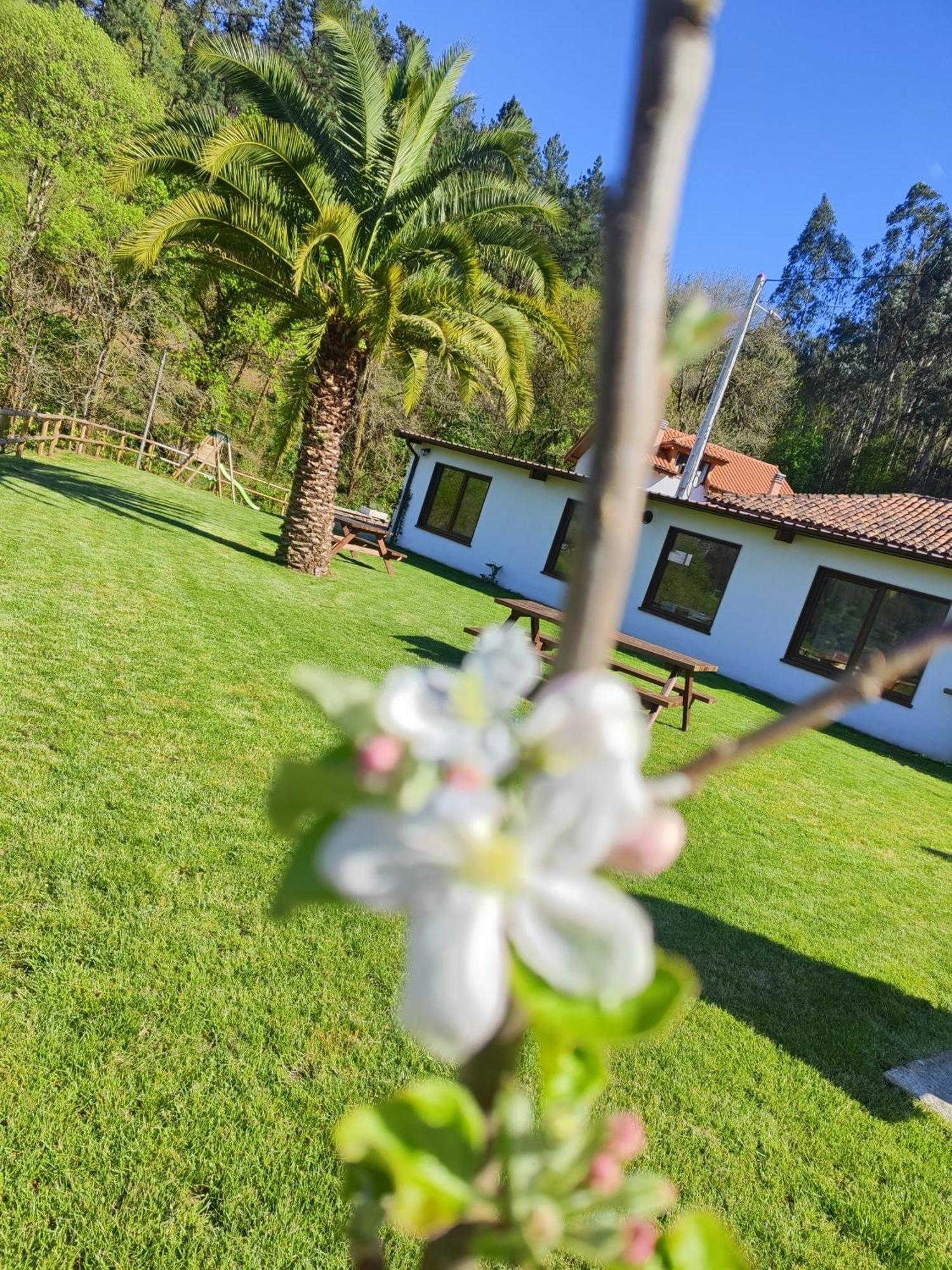 Country house Reguero Gato Candamin
